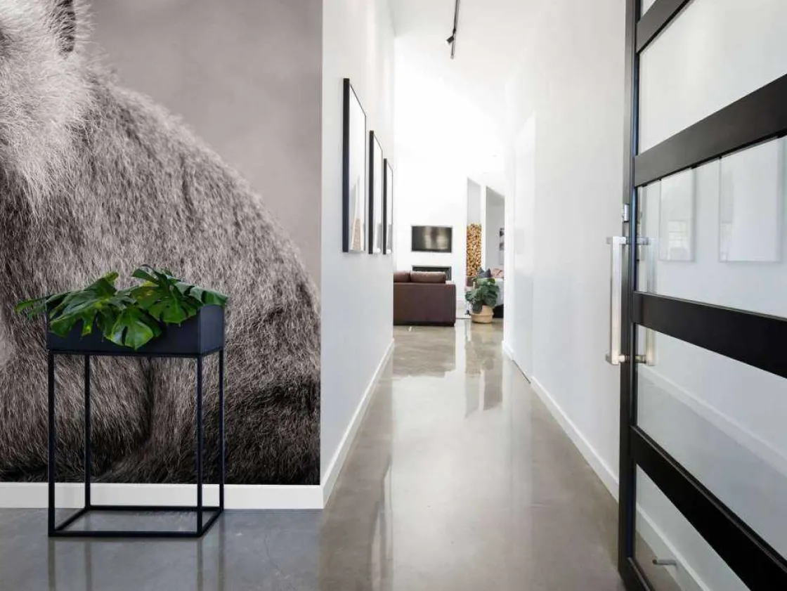 schattig_aapje_in_zwartwi_4.webp Outlet Schattig aapje in zwart-wit fotobehang Hobbykamer | Dieren
