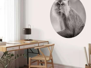 Outlet Schattig aapje in zwart-wit fotobehang Hobbykamer | Dieren