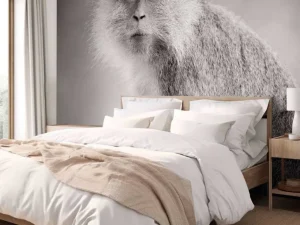 Outlet Schattig aapje in zwart-wit fotobehang Hobbykamer | Dieren