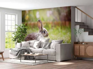 Online Schattig konijntje in een tuin fotobehang Kinderkamer | Dieren