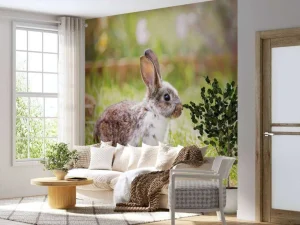 Online Schattig konijntje in een tuin fotobehang Kinderkamer | Dieren