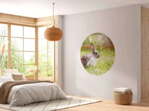 Online Schattig konijntje in een tuin fotobehang Kinderkamer | Dieren