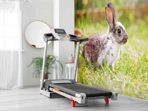 Online Schattig konijntje in een tuin fotobehang Kinderkamer | Dieren