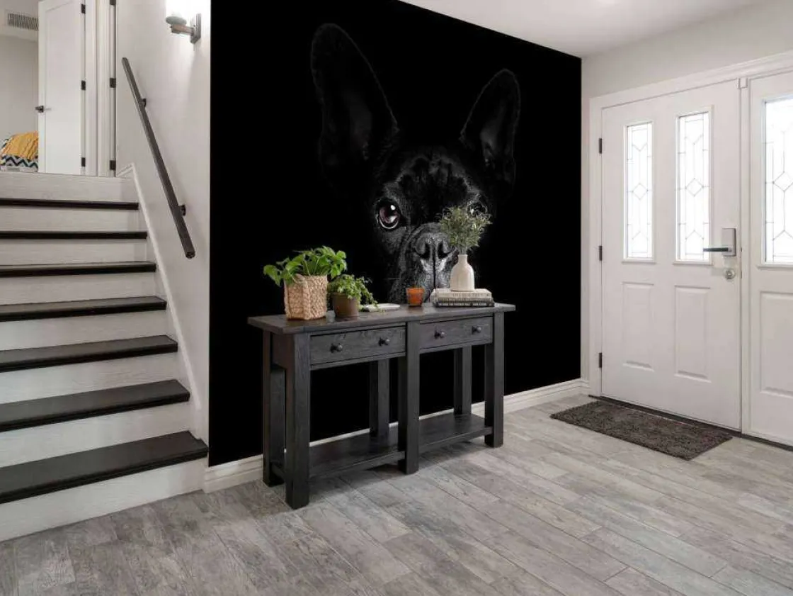 schattige_bulldog_met_een_4.webp Outlet Schattige bulldog met een zwarte achtergrond fotobehang Tienerkamer | Dieren