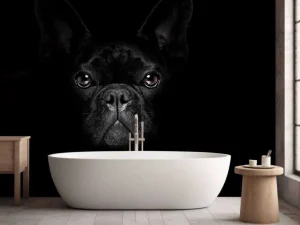 Outlet Schattige bulldog met een zwarte achtergrond fotobehang Tienerkamer | Dieren