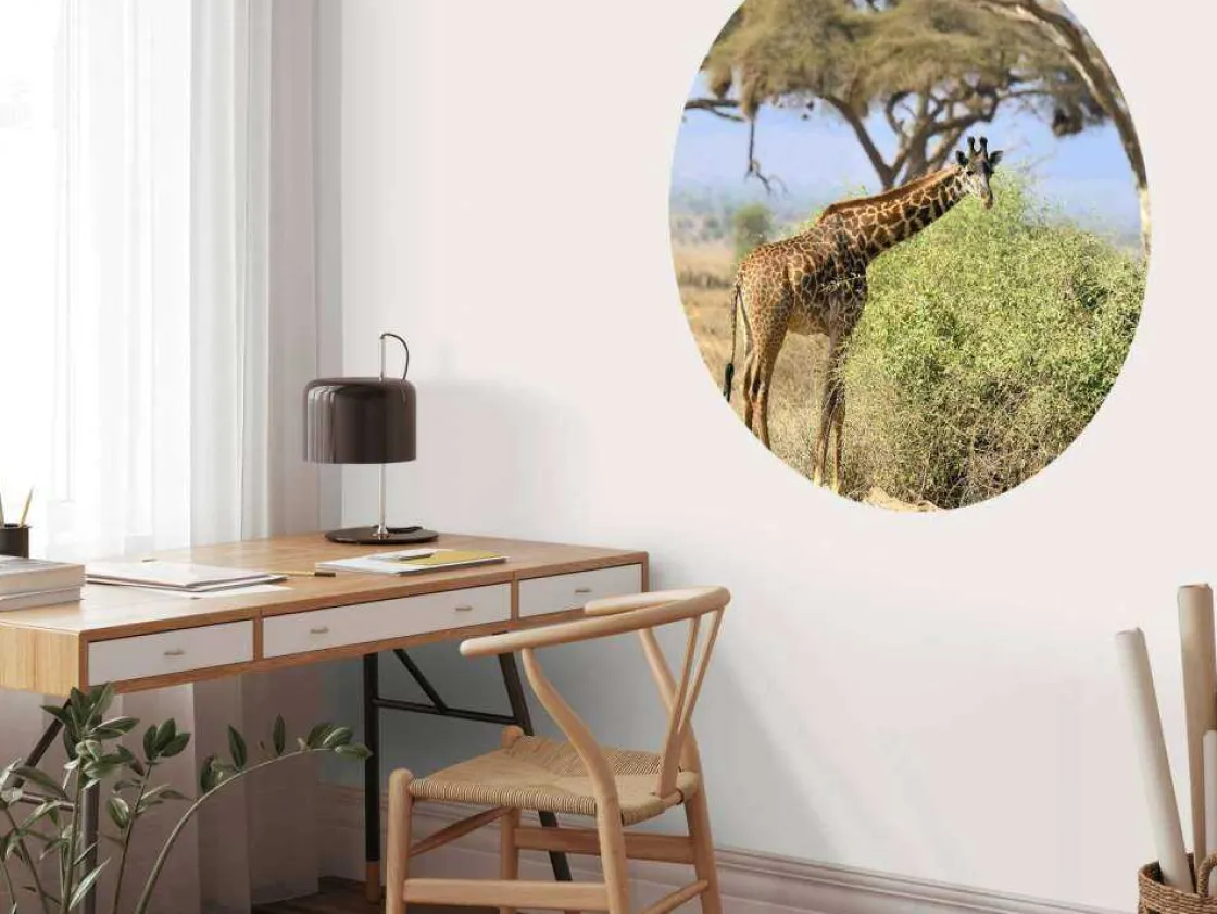 schattige_giraffe_tussen__7.webp Best Schattige Giraffe tussen struiken fotobehang Dieren | Bloemen