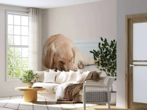 Outlet Schattige labrador is aan het eten fotobehang Dieren