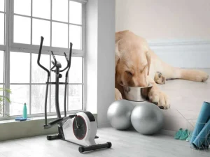 Outlet Schattige labrador is aan het eten fotobehang Dieren