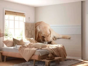 Outlet Schattige labrador is aan het eten fotobehang Dieren