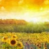 Hot Schilderij van een zonnebloemen landschap fotobehang Bloemen