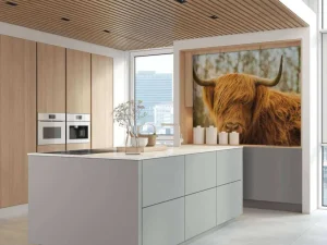Outlet Schotse Hooglander bij zonsopkomst fotobehang Dieren