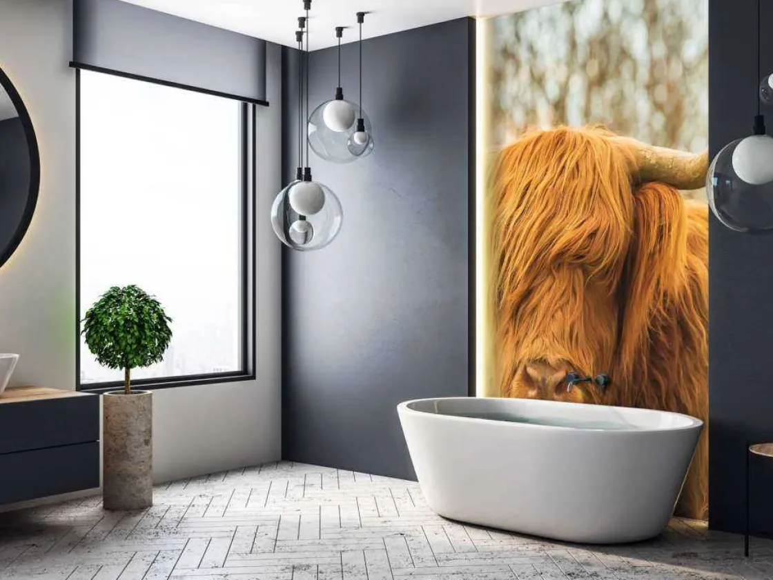 schotse_hooglander_bij_zo_7.webp Outlet Schotse Hooglander bij zonsopkomst fotobehang Dieren