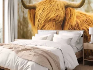 Outlet Schotse Hooglander bij zonsopkomst fotobehang Dieren