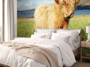 New Schotse Hooglander in de natuur fotobehang Dieren