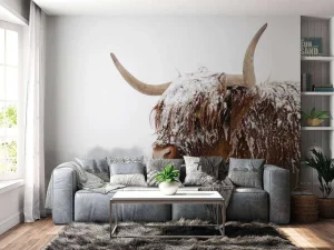 Fashion Schotse Hooglander in de sneeuw fotobehang Dieren