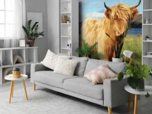 New Schotse Hooglander in de natuur fotobehang Dieren