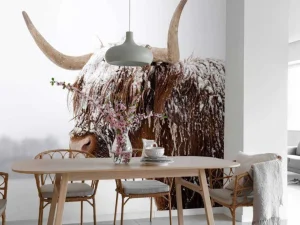 Fashion Schotse Hooglander in de sneeuw fotobehang Dieren