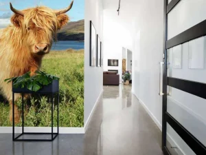 New Schotse Hooglander in de natuur fotobehang Dieren