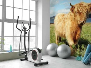 New Schotse Hooglander in de natuur fotobehang Dieren
