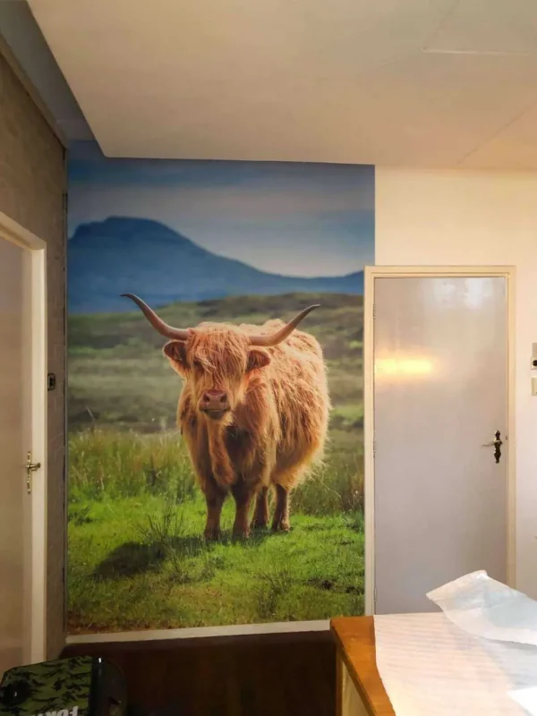 New Schotse Hooglander in een berglandschap fotobehang Dieren