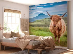 New Schotse Hooglander in een berglandschap fotobehang Dieren