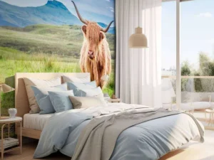 New Schotse Hooglander in een berglandschap fotobehang Dieren