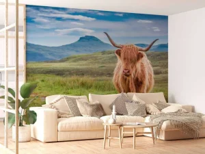 New Schotse Hooglander in een berglandschap fotobehang Dieren