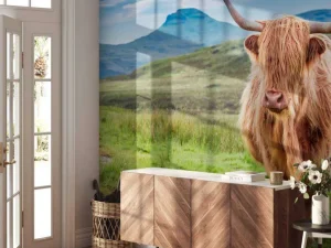 New Schotse Hooglander in een berglandschap fotobehang Dieren