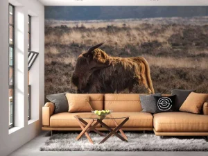 Hot Schotse hooglander in het wild fotobehang Dieren