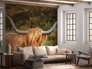 Online Schotse Hooglander in het veld fotobehang Dieren