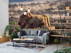 Hot Schotse hooglander in het wild fotobehang Dieren