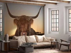 Clearance Schotse Hooglander in het gras bij zonsondergang fotobehang Dieren