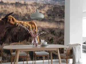 Hot Schotse hooglander in het wild fotobehang Dieren