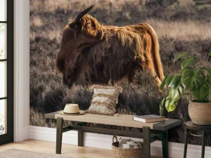 Hot Schotse hooglander in het wild fotobehang Dieren