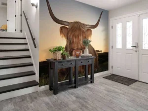 Clearance Schotse Hooglander in het gras bij zonsondergang fotobehang Dieren