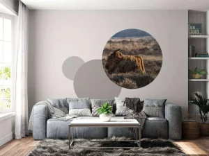 Hot Schotse hooglander in het wild fotobehang Dieren