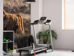 Hot Schotse hooglander in het wild fotobehang Dieren