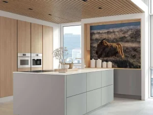 Hot Schotse hooglander in het wild fotobehang Dieren