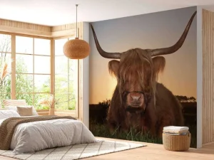 Clearance Schotse Hooglander in het gras bij zonsondergang fotobehang Dieren