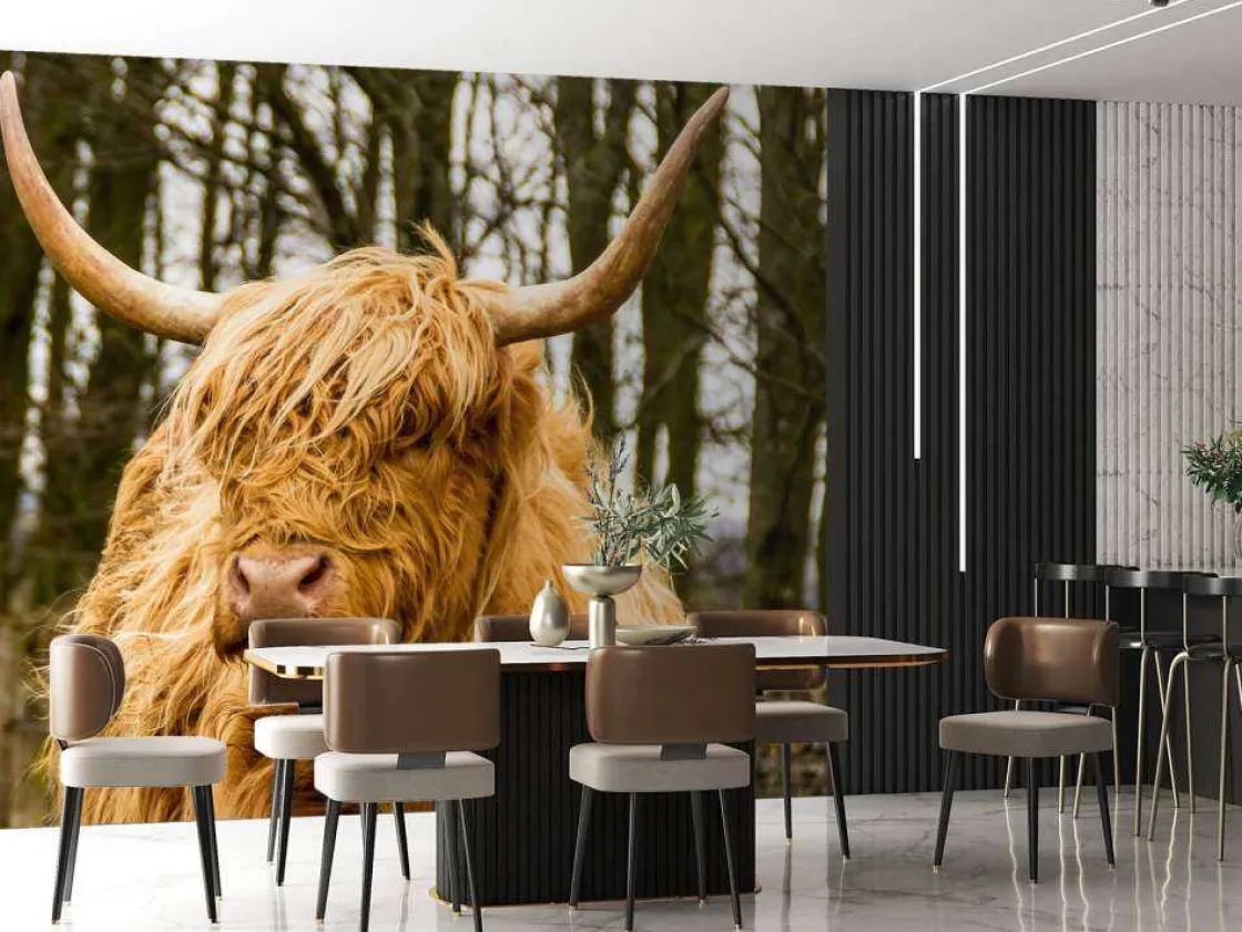 schotse_hooglander_met_bo_3.webp Best Schotse Hooglander met Bomen op achtergrond fotobehang Dieren