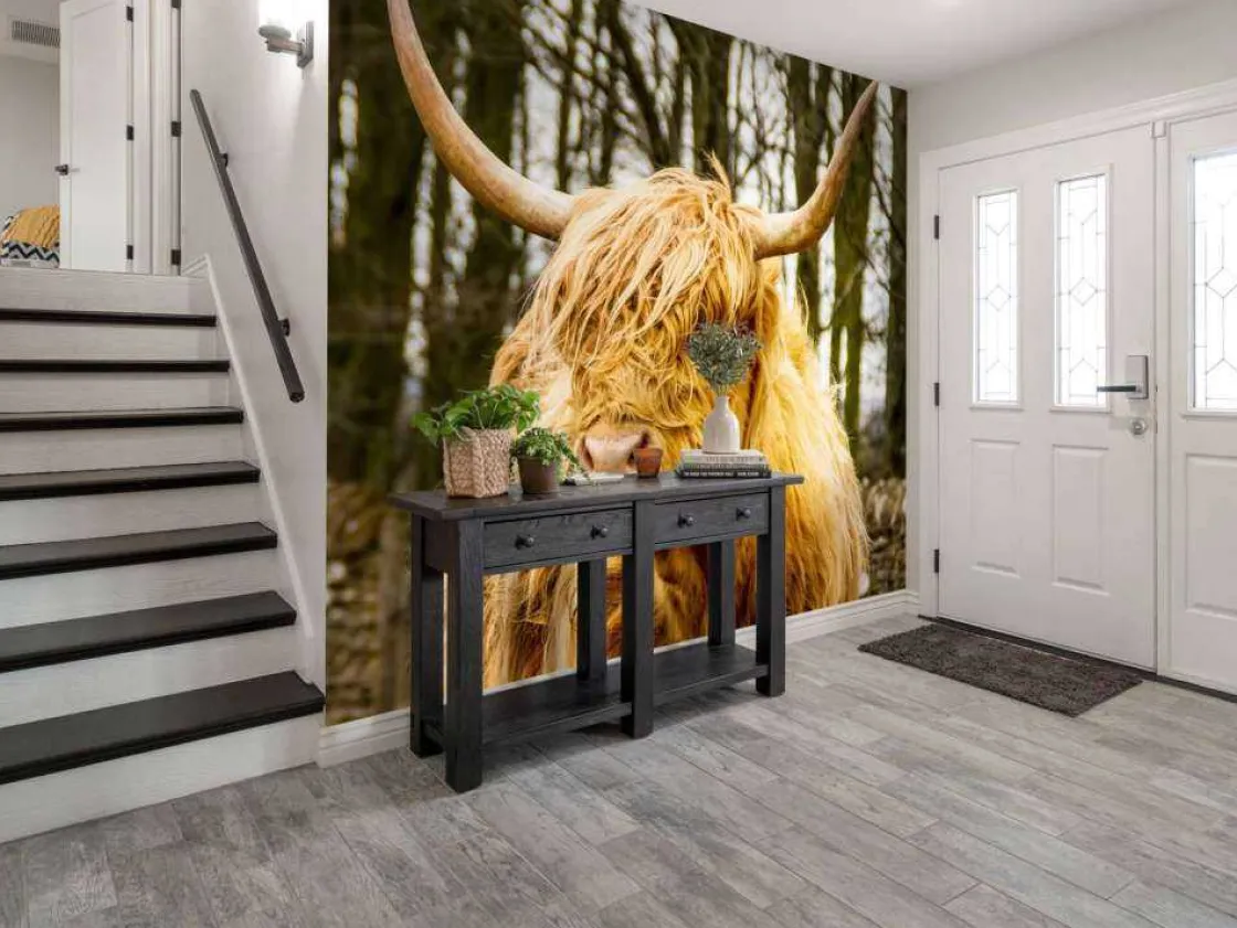 schotse_hooglander_met_bo_4.webp Best Schotse Hooglander met Bomen op achtergrond fotobehang Dieren