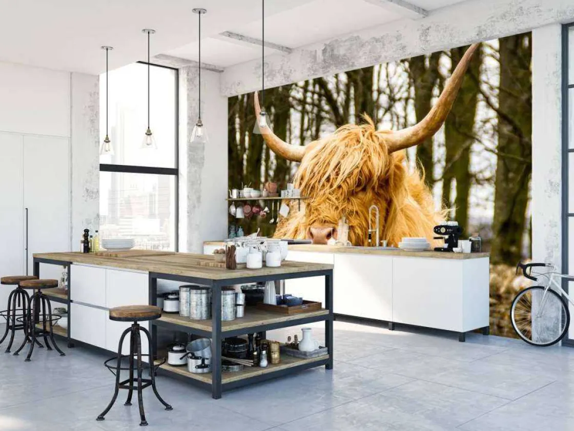 schotse_hooglander_met_bo_7.webp Best Schotse Hooglander met Bomen op achtergrond fotobehang Dieren
