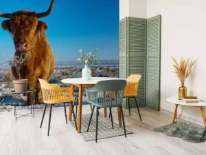 Hot Schotse Hooglander met een blauwe lucht fotobehang Dieren