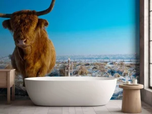 Hot Schotse Hooglander met een blauwe lucht fotobehang Dieren