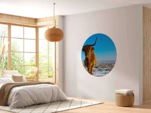 Hot Schotse Hooglander met een blauwe lucht fotobehang Dieren
