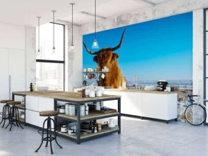 Hot Schotse Hooglander met een blauwe lucht fotobehang Dieren