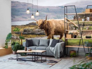 Outlet Schotse Hooglander op Mull fotobehang Dieren