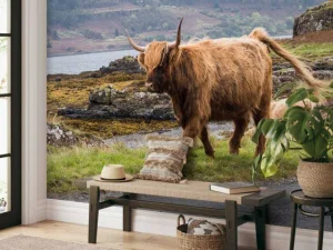 Outlet Schotse Hooglander op Mull fotobehang Dieren