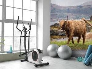 Outlet Schotse Hooglander op Mull fotobehang Dieren