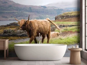 Outlet Schotse Hooglander op Mull fotobehang Dieren